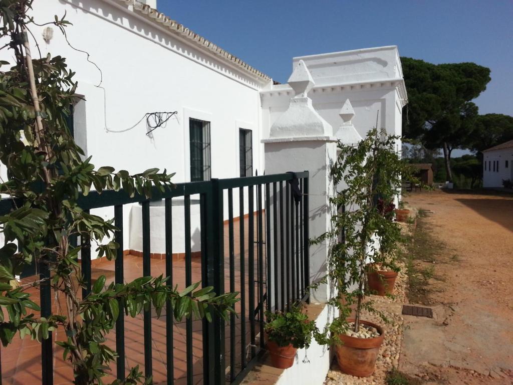 Albergue Rural Territorio Del Gato El Rompido Kültér fotó